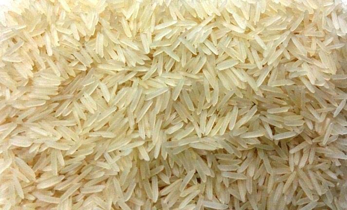 Sugandha Golden Sella Rice